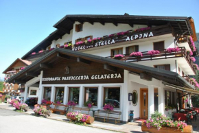 Гостиница Hotel Stella Alpina, Фалькаде